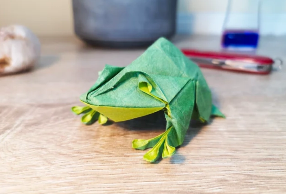 會跳的青蛙 摺紙 會跳的青蛙 摺紙