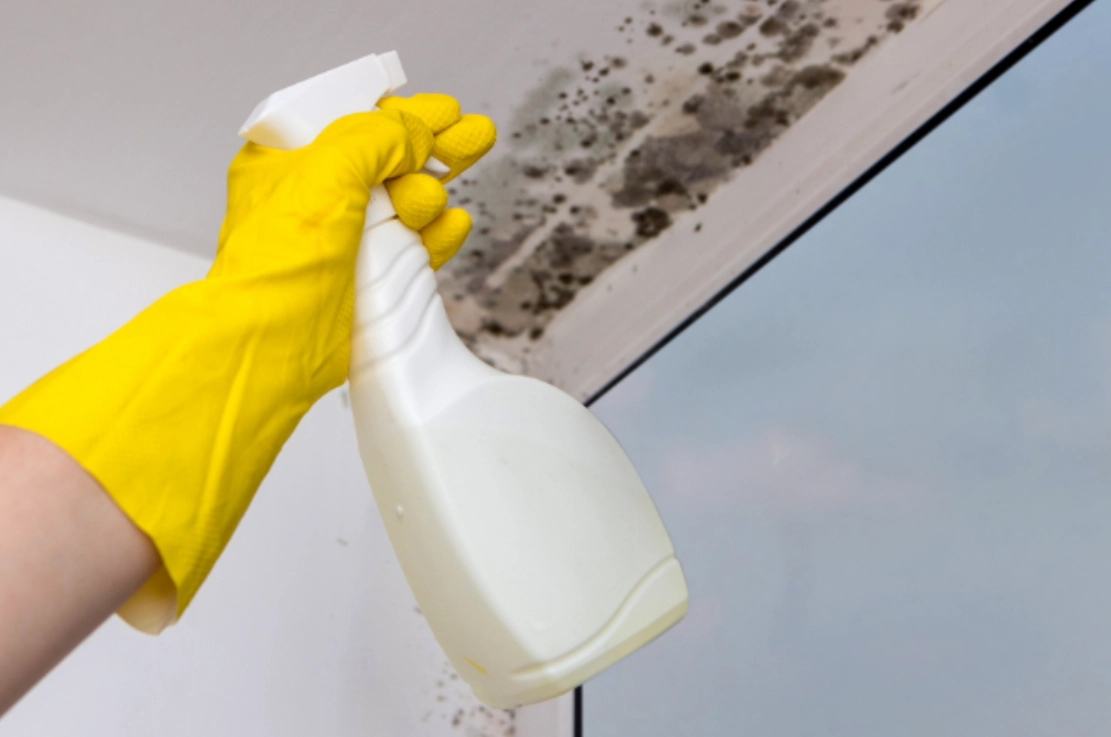 浴室黴菌清除 浴室黴菌清除