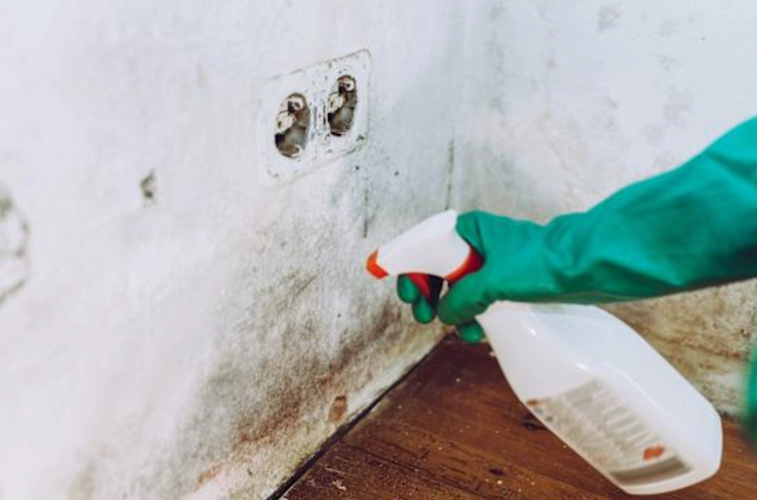 漂白水使用安全 漂白水使用安全