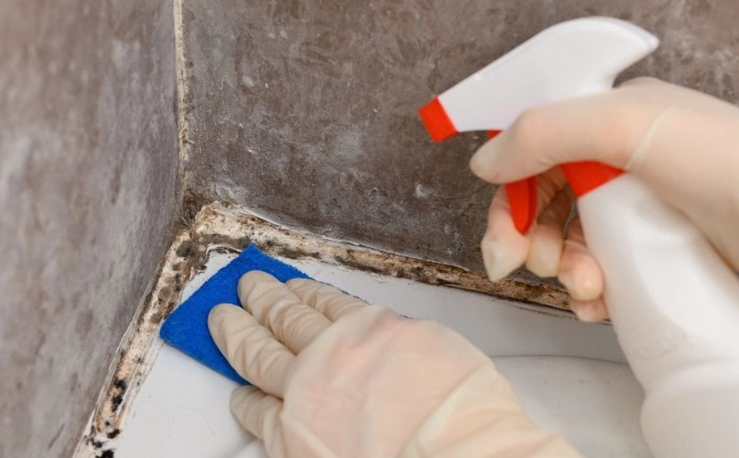 漂白水除黴比例 漂白水除黴比例