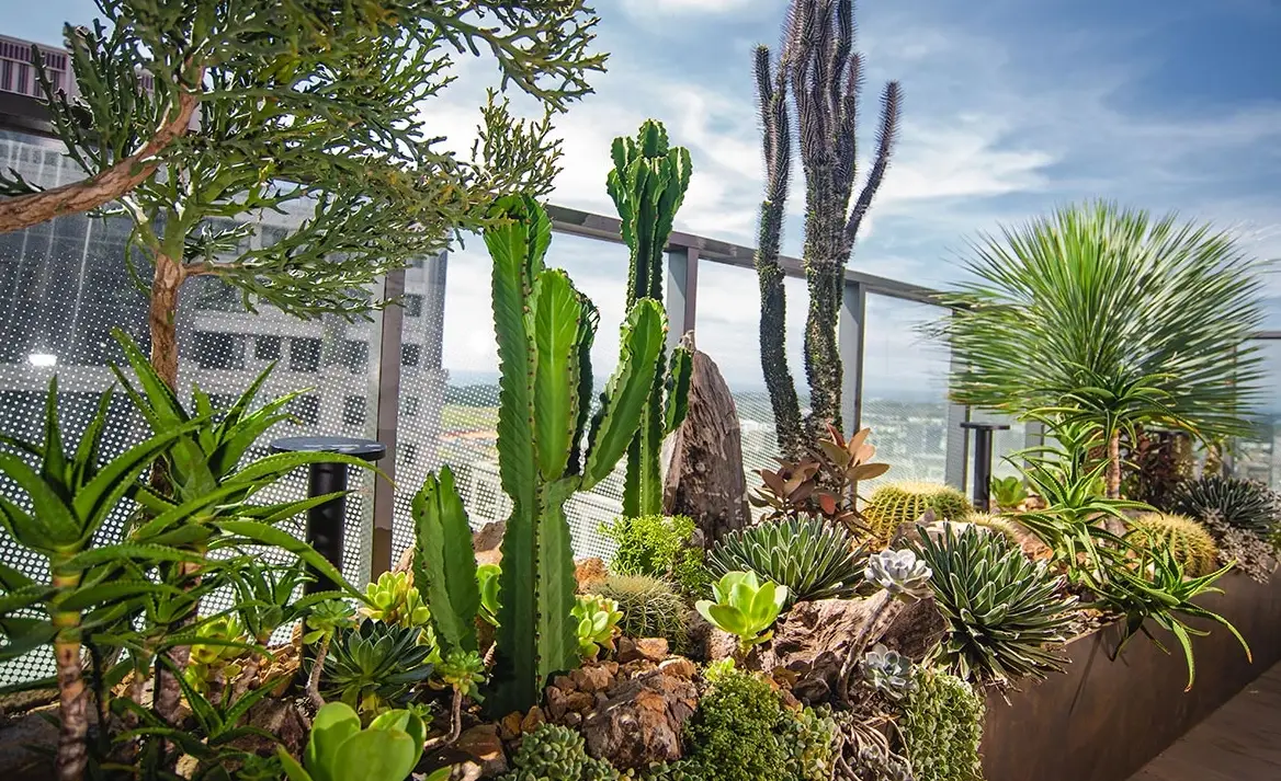 懶人陽台盆栽 懶人陽台盆栽