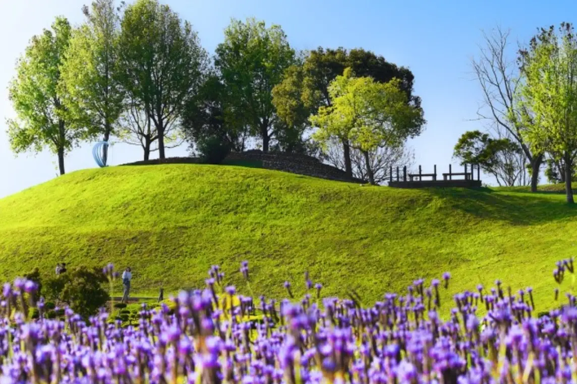 朋友花景點 朋友花景點