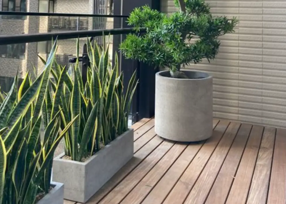 台灣陽台植物 台灣陽台植物