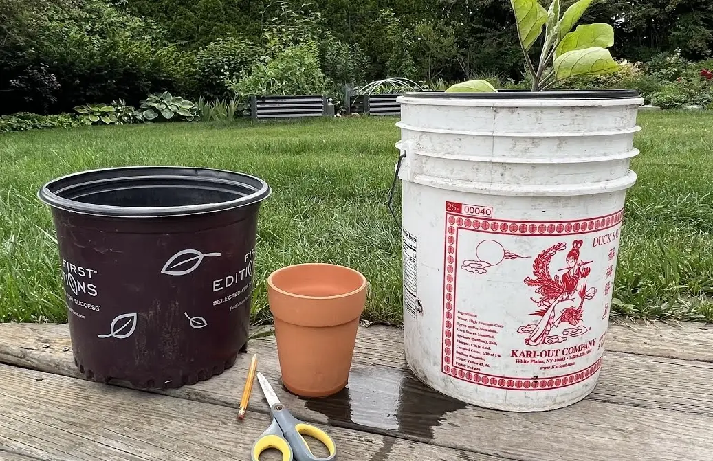 自動吸水花盆DIY完整教學：從原理到實作，打造免澆水智慧盆栽