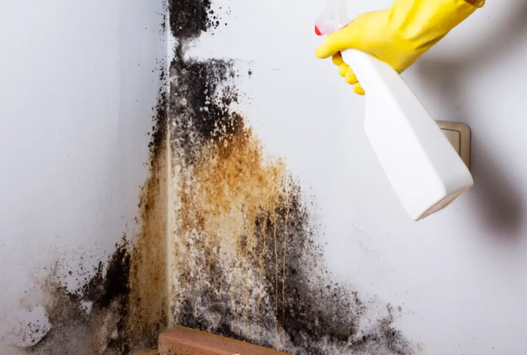 漂白水使用安全 漂白水使用安全