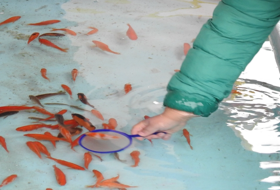 夢見抓魚 周公解夢 夢見抓魚 周公解夢