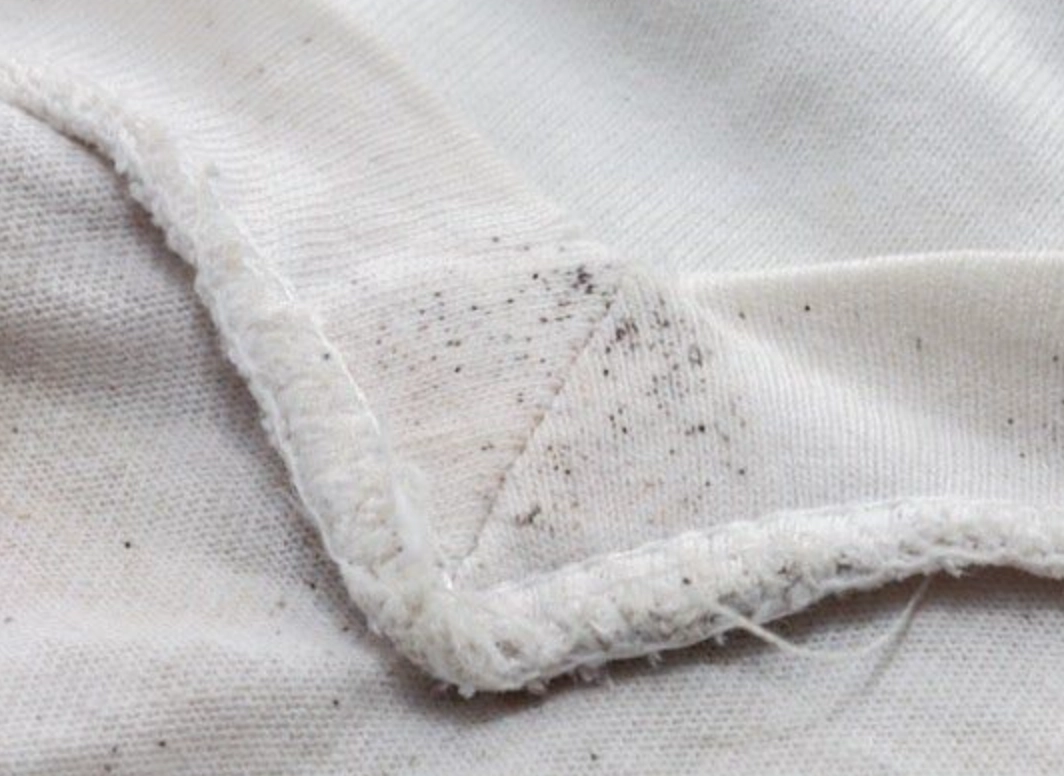 衣物發霉處理 衣物發霉處理