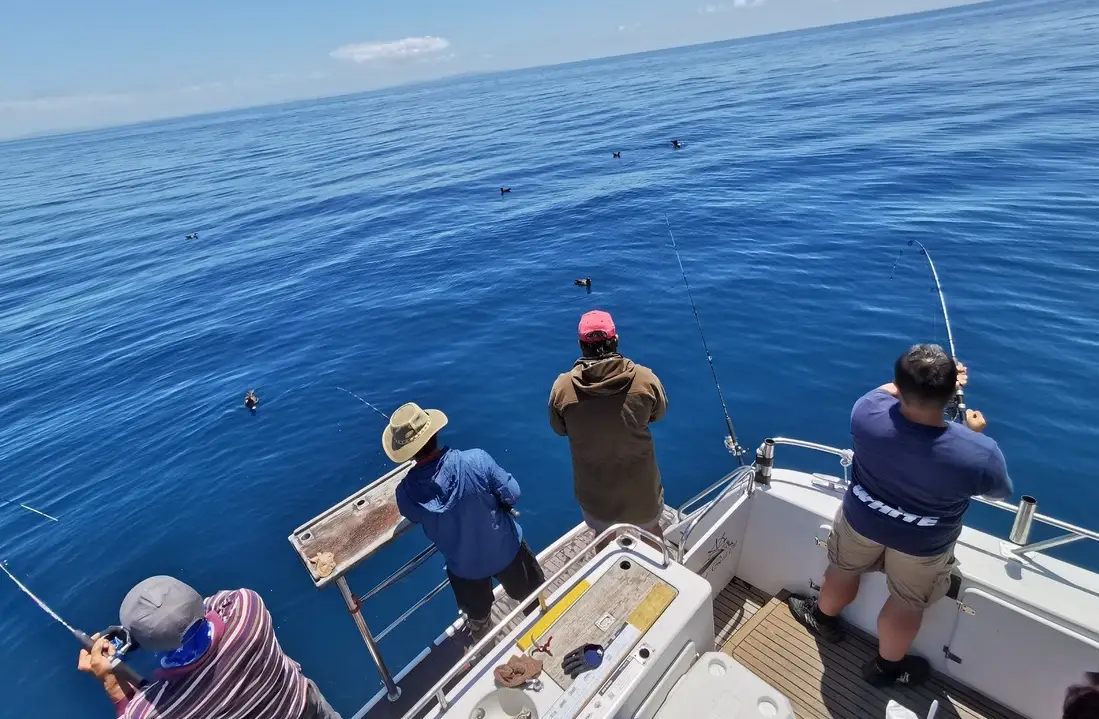 夢境解析 夢境解析