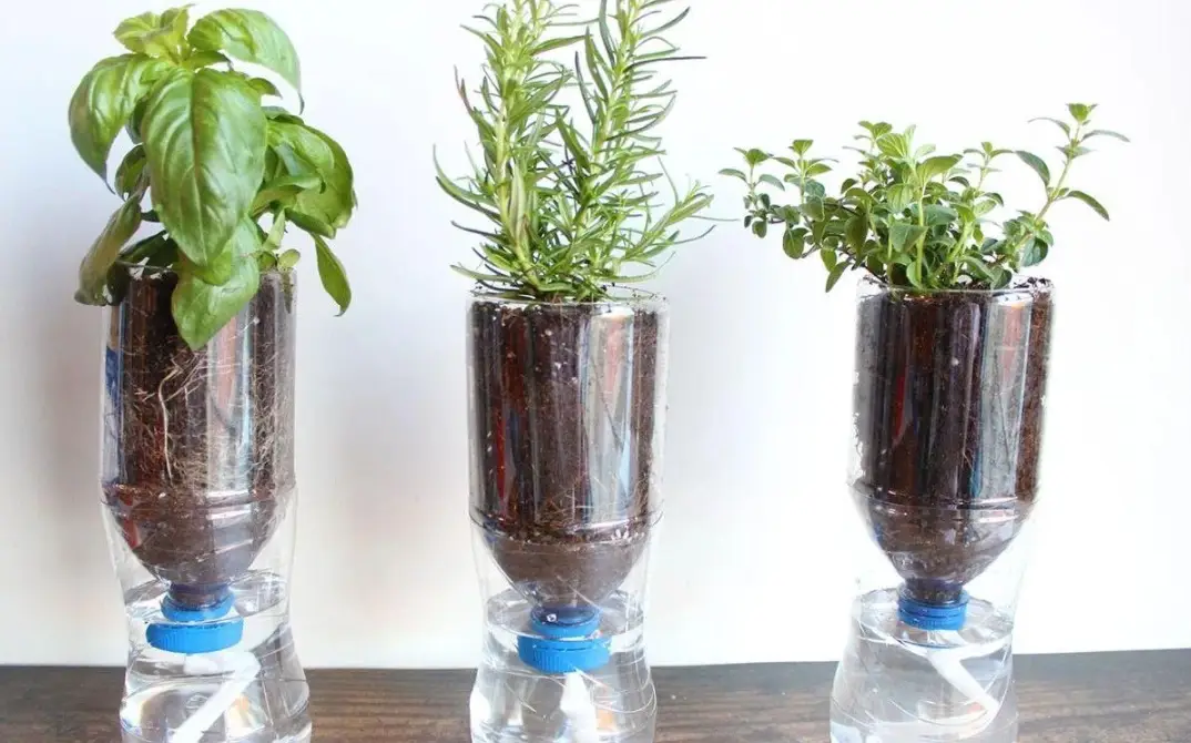 自動吸水花盆缺點全解析：5大陷阱與實用解決方案