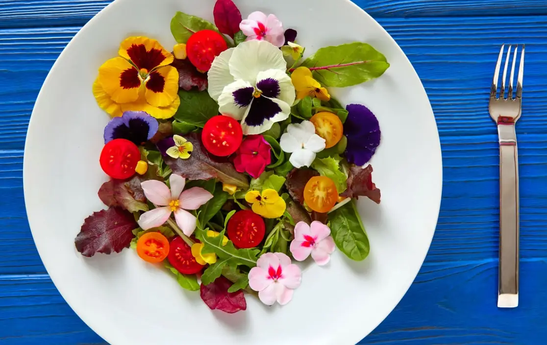 食用花圖鑑：從挑選到入菜，完整指南與新手必知的安全守則