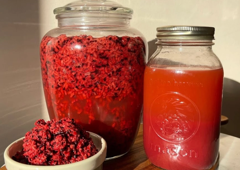 發酵食品健康 發酵食品健康