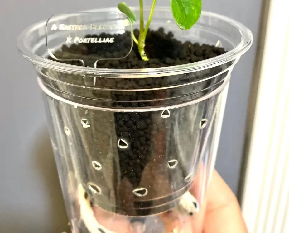 DIY自動澆水花盆