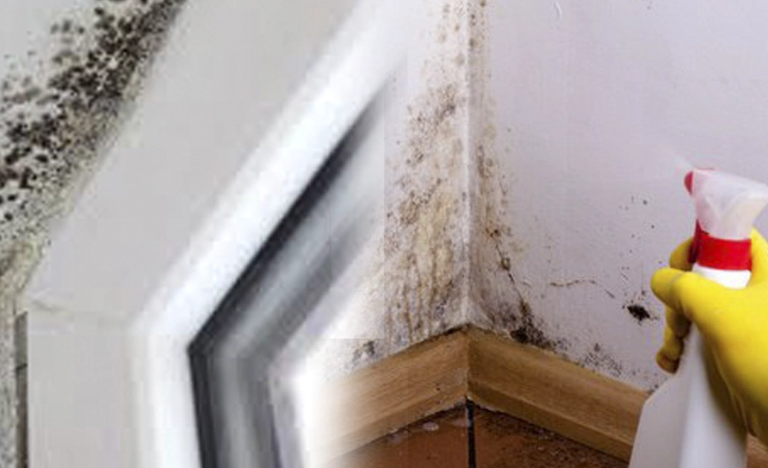 漂白水除黴比例 漂白水除黴比例