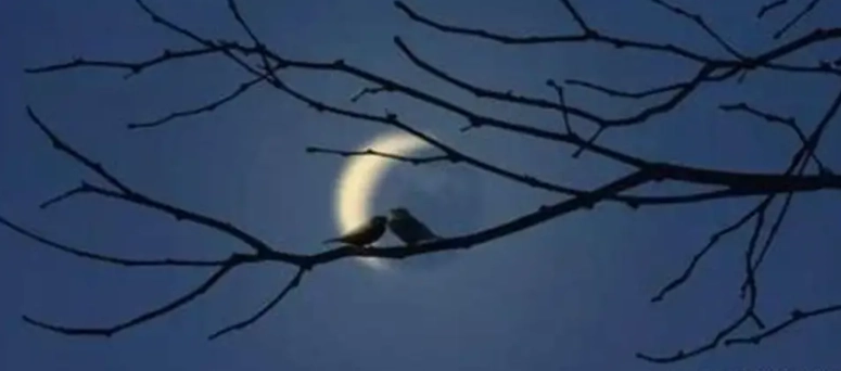 喪親夢境心理學 喪親夢境心理學