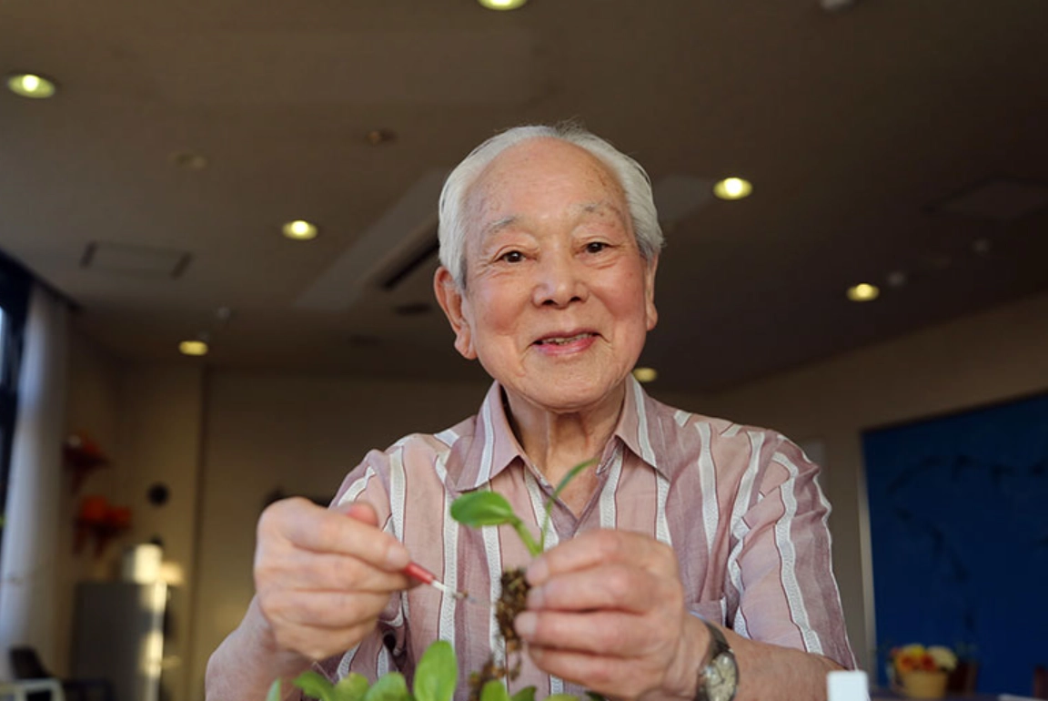 悲傷處理夢境 悲傷處理夢境