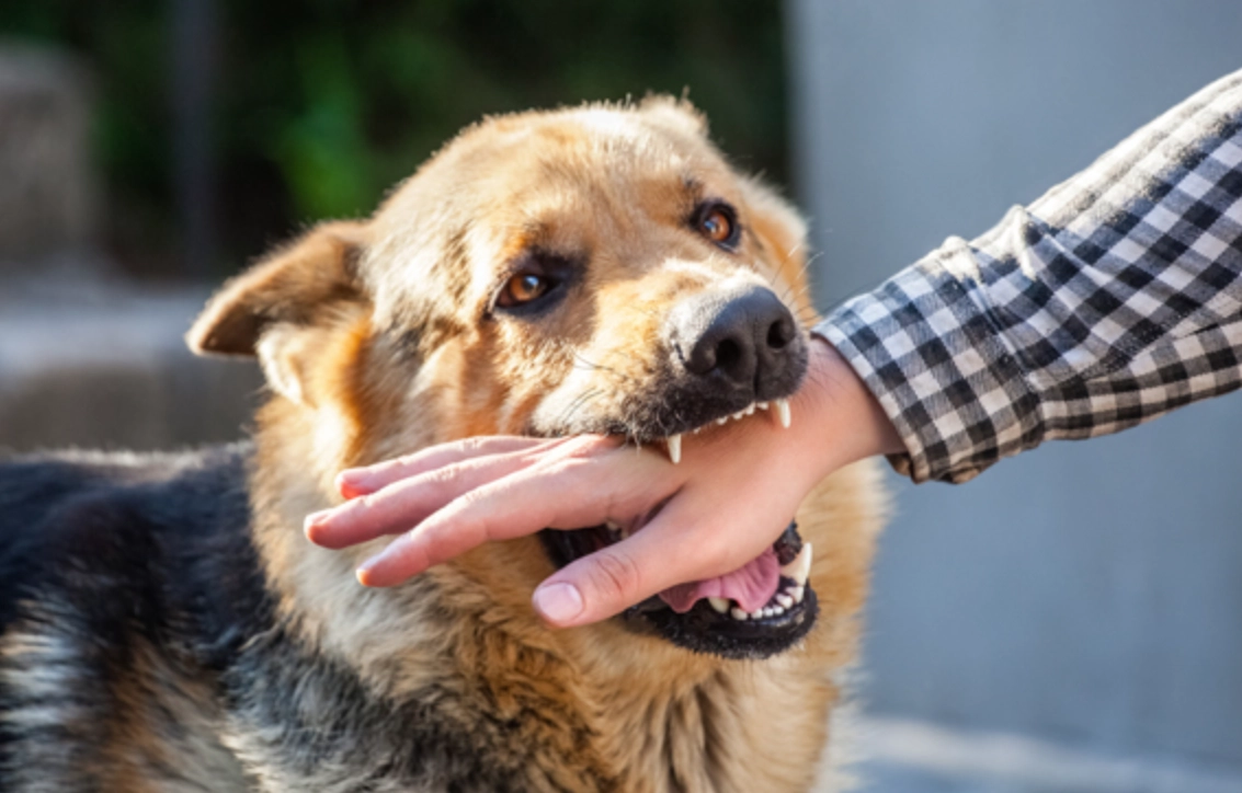 夢境心理學 夢境心理學