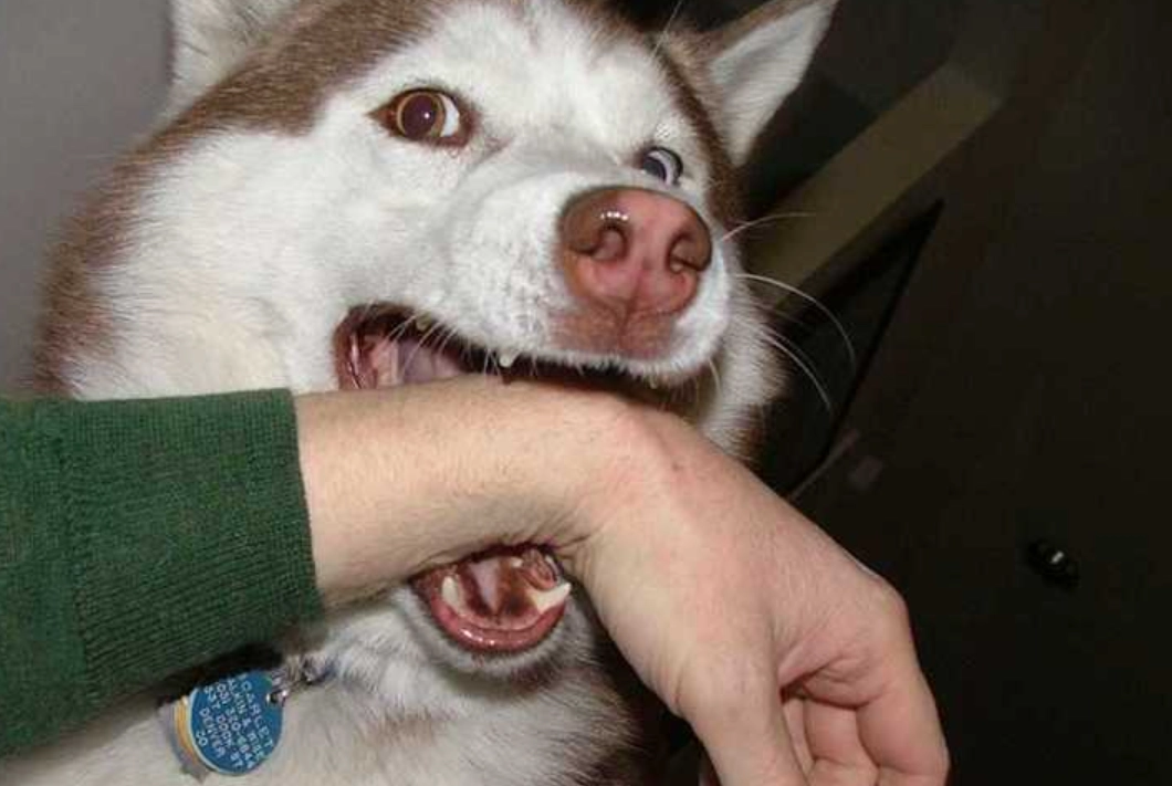 夢境心理學 夢境心理學