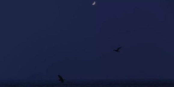 夢見死去的母親解夢 夢見死去的母親解夢