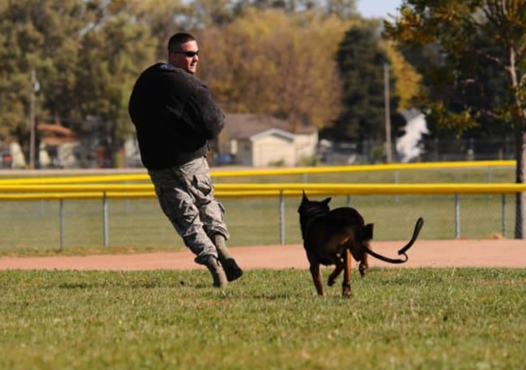 被狗追 夢的意義