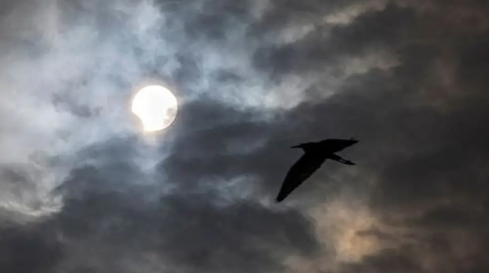 夢見死去的母親：解夢意義、心理解析與心靈療癒全指南