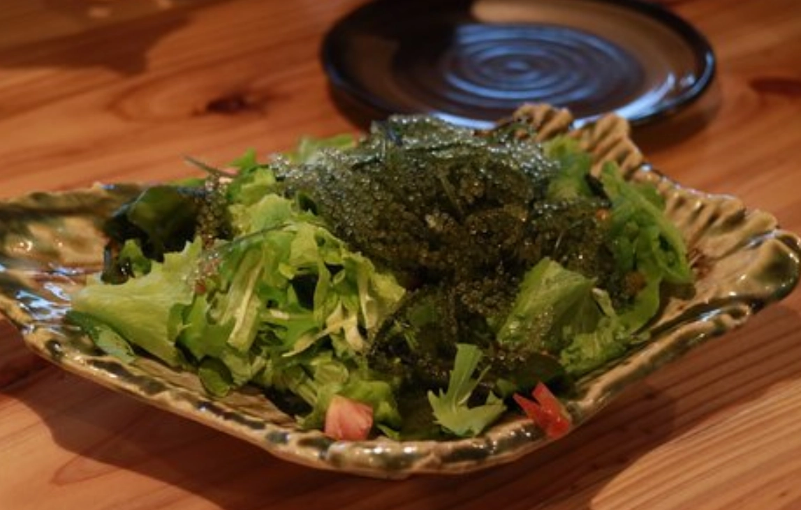 海葡萄料理 海葡萄料理