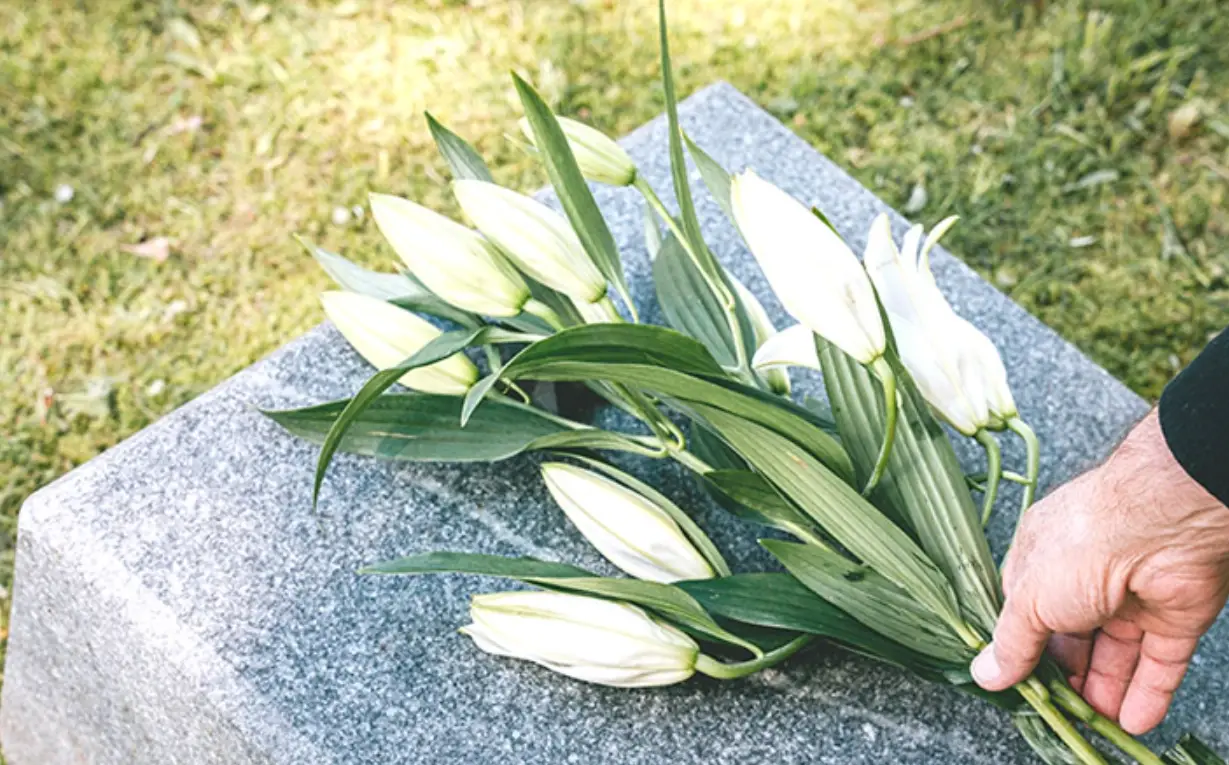 夢到親人死亡 解夢