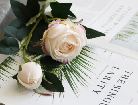 永生花保養 永生花保養