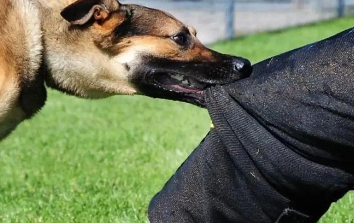 夢境心理學 夢境心理學