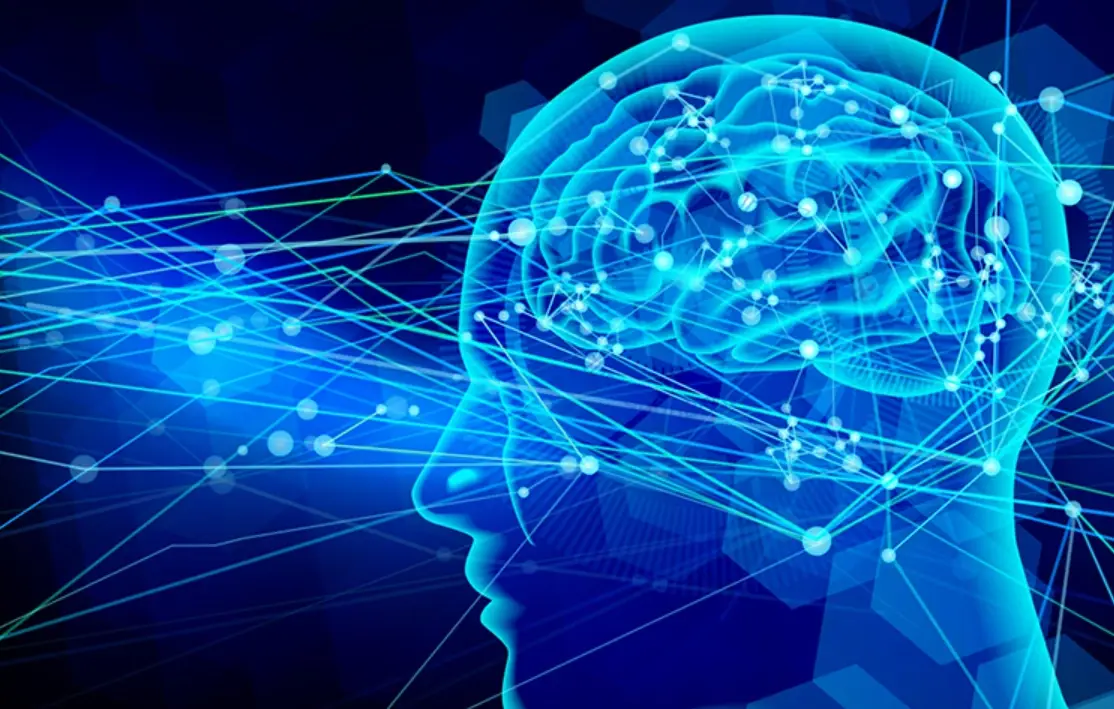 掌握記憶三階段：從編碼到檢索的科學方法與實用技巧