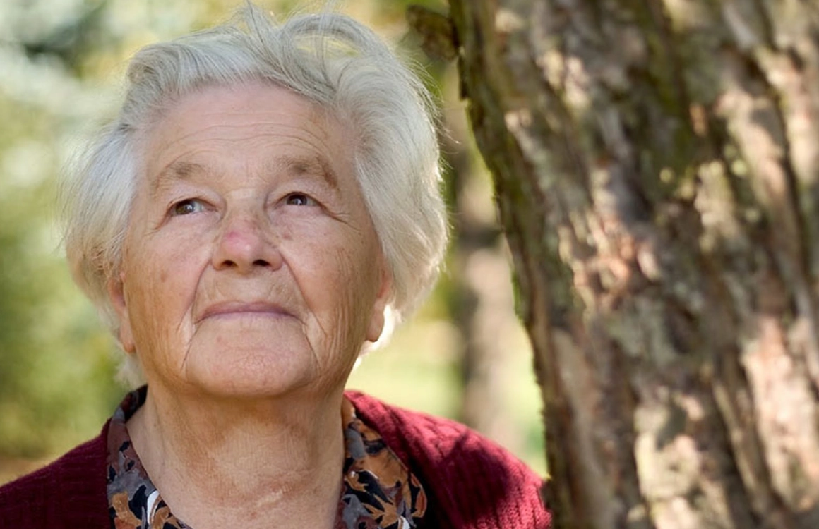 夢境解析母親復活 夢境解析母親復活