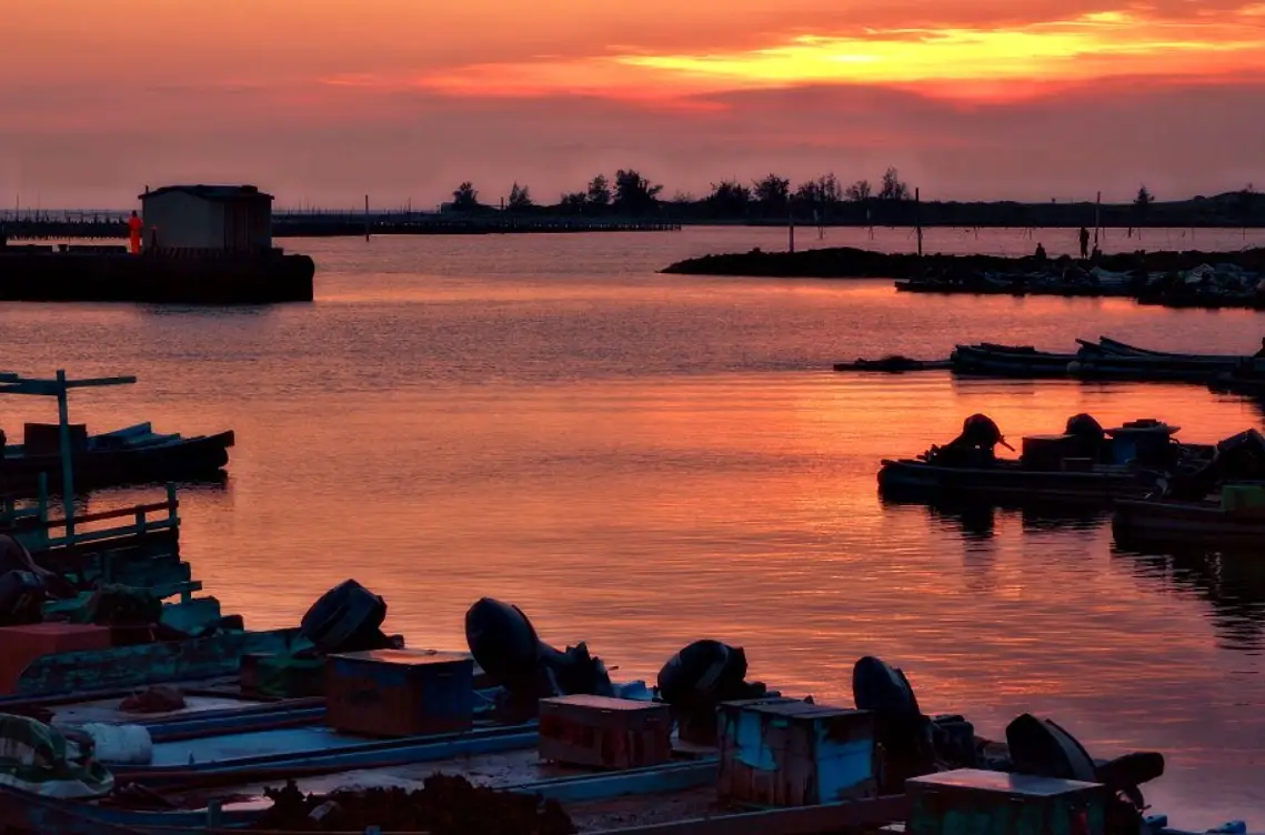 蘆竹溝蚵棚景觀全攻略：交通、攝影、周邊一次看懂