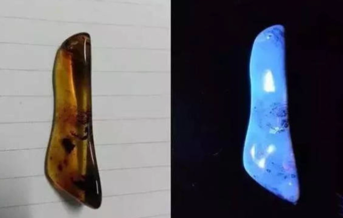 琥珀螢光反應全解析：原理、鑑定與螢光燈選購指南