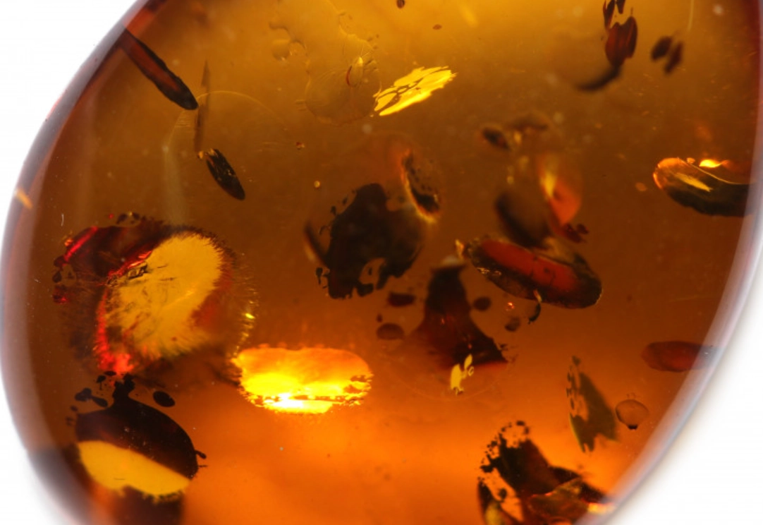 琥珀鑑定方法 琥珀鑑定方法