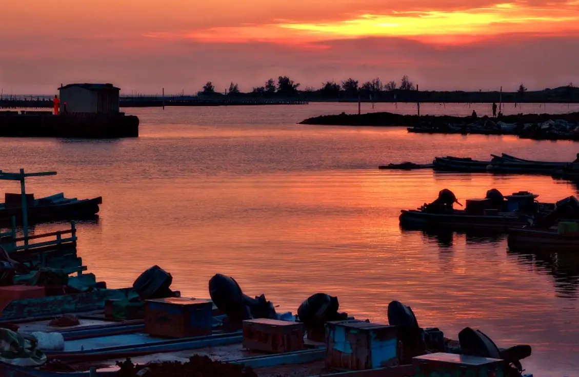 蘆竹溝潮汐全攻略：觀賞時間、交通路線與周邊景點一次掌握