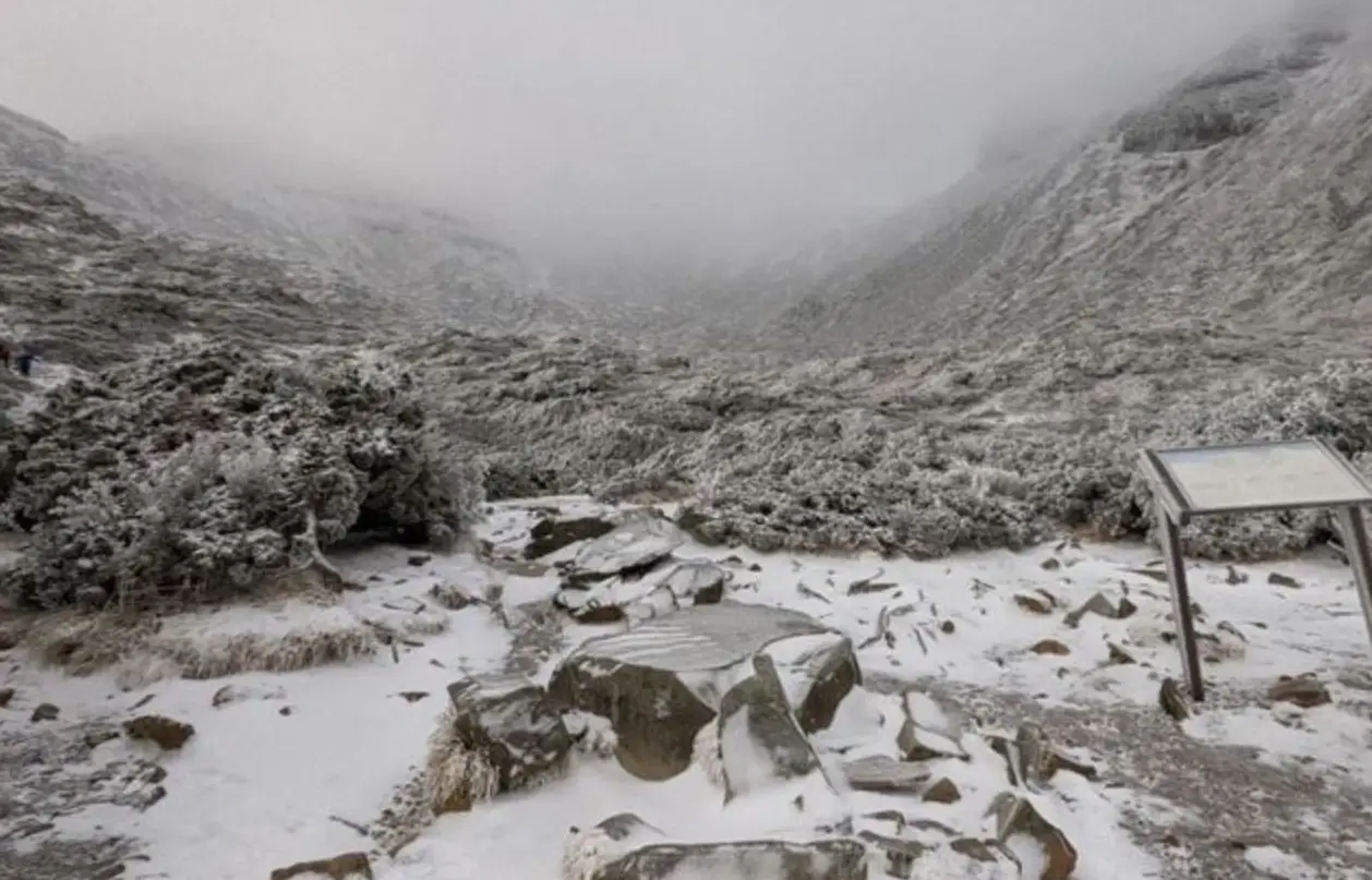 雪霸農場 旅遊季節