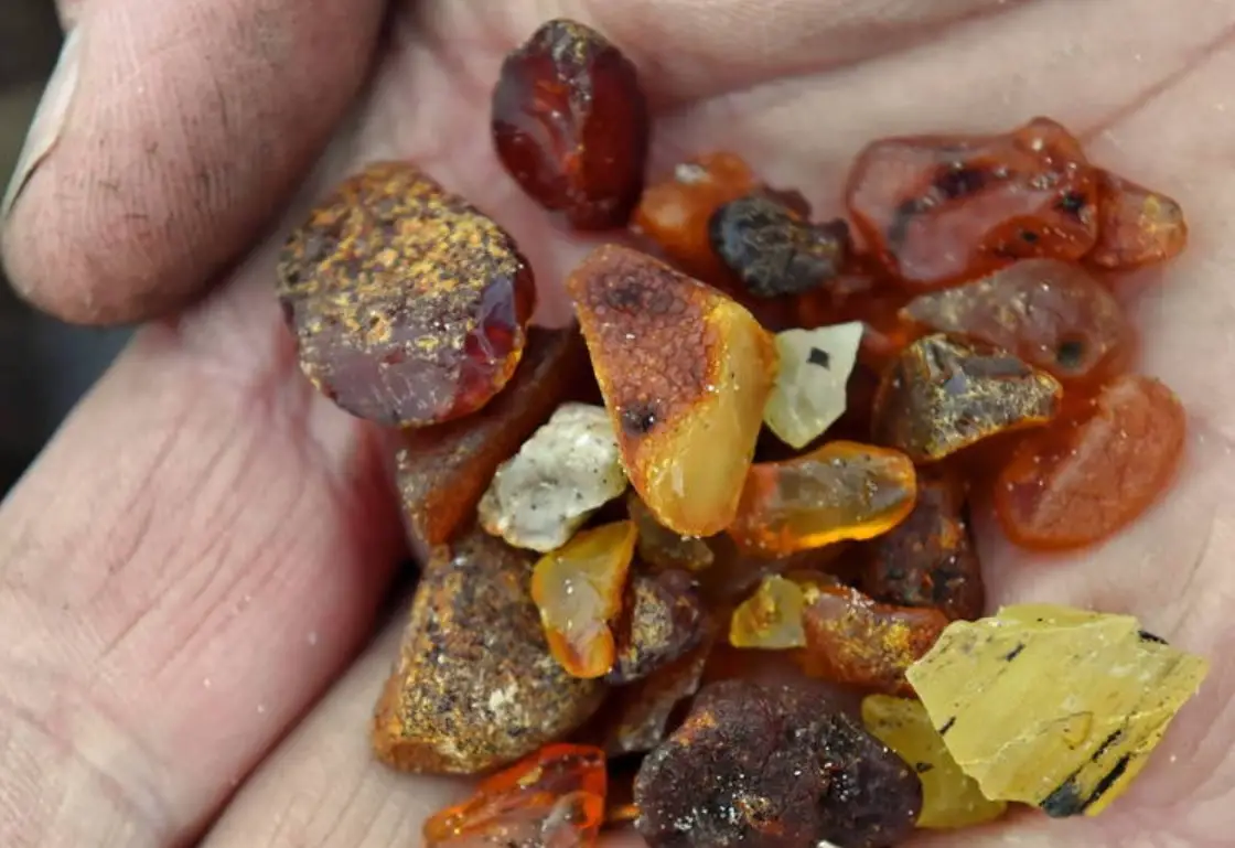 波羅的海琥珀真假鑑別終極指南：專家教你5分鐘快速判斷