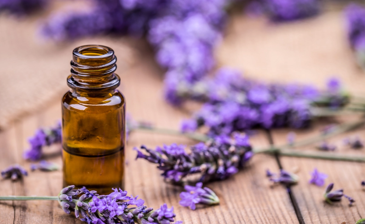 貓咪 精油 有害