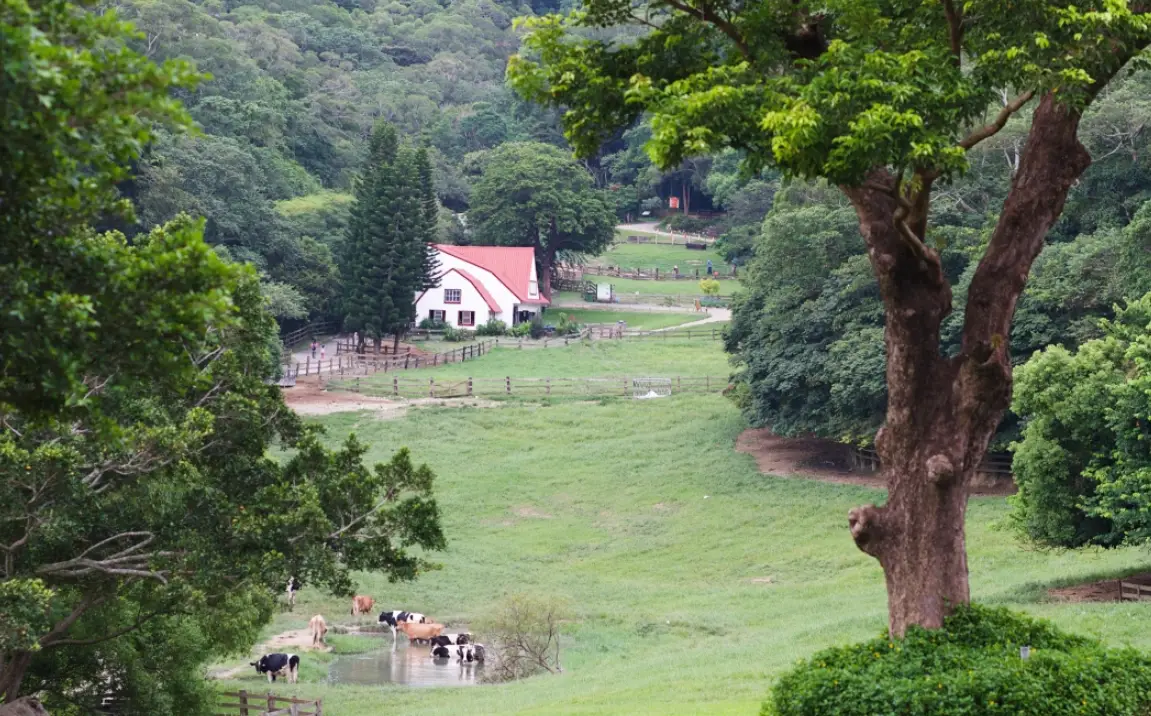 南投休閒農場行程 南投休閒農場行程
