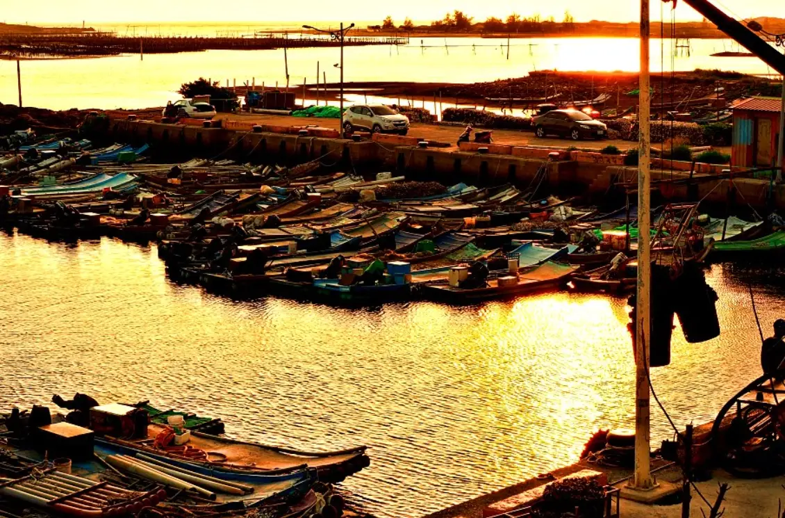 蘆竹溝蚵棚旅遊