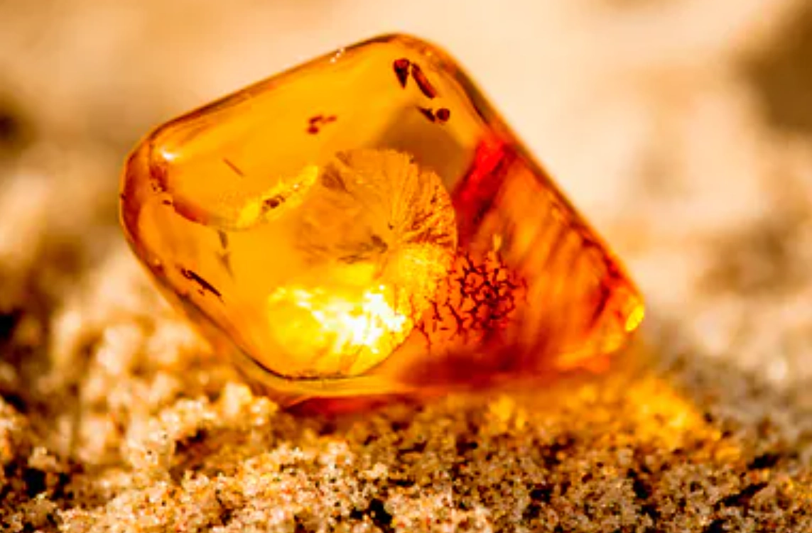 琥珀鑑定費用全攻略：價格、機構選擇與避坑指南