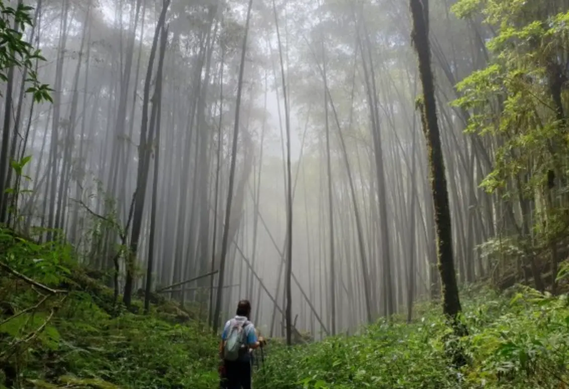 嶺頭山 路線攻略
