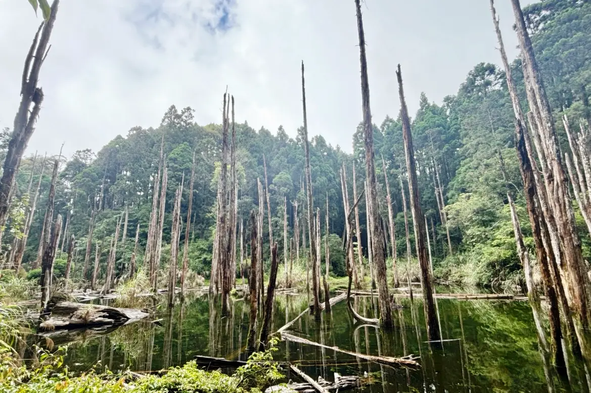 嶺頭山 登山難度