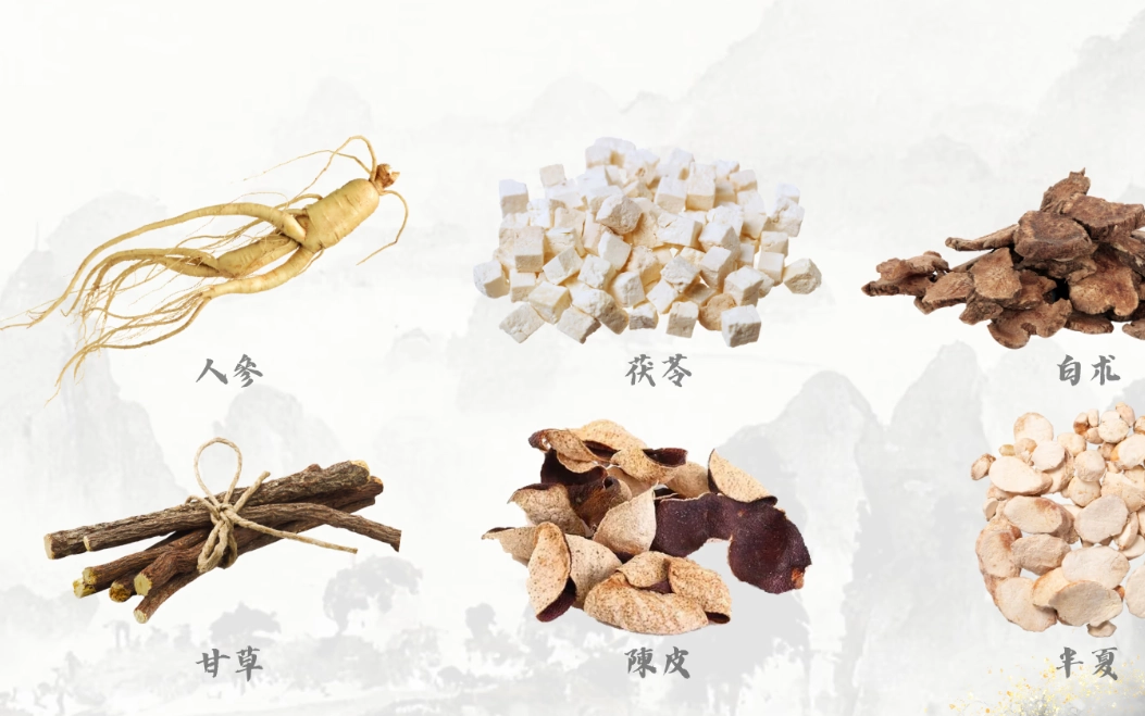 六君子湯禁忌全解析：哪些人不能喝？副作用與注意事項詳解