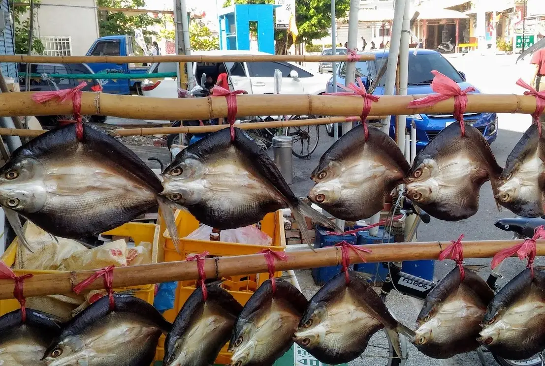 北門魚市場完全攻略：在地人帶路，海鮮採買與美食體驗一次掌握