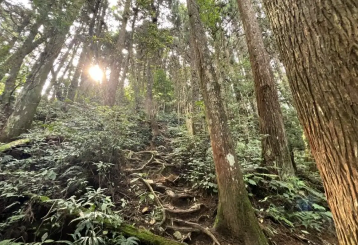 嶺頭山 登山難度