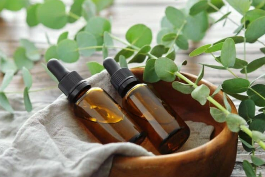 寵物精油安全使用