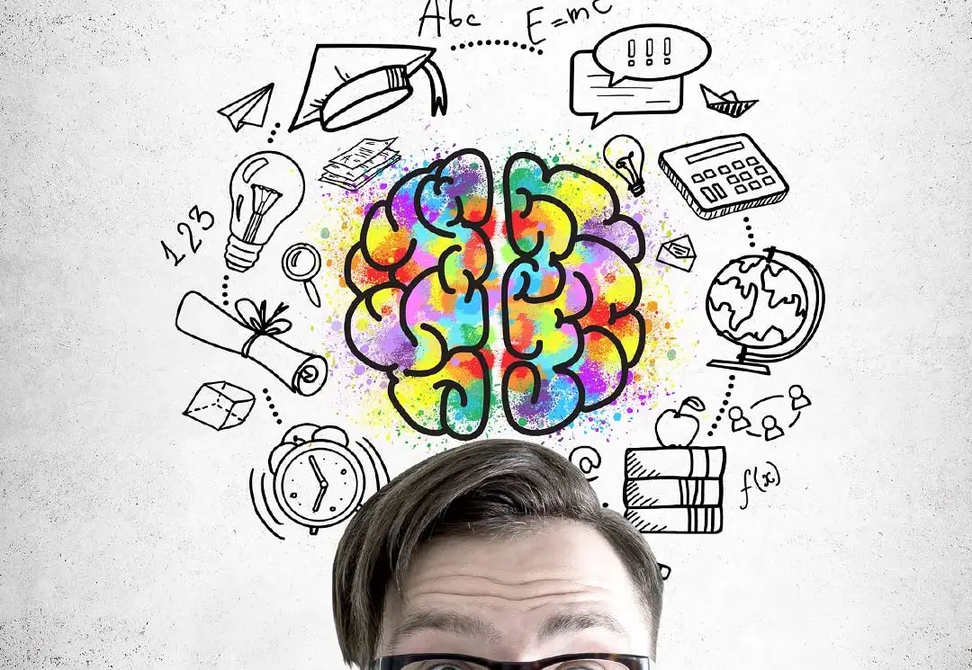 大腦記憶遊戲 大腦記憶遊戲