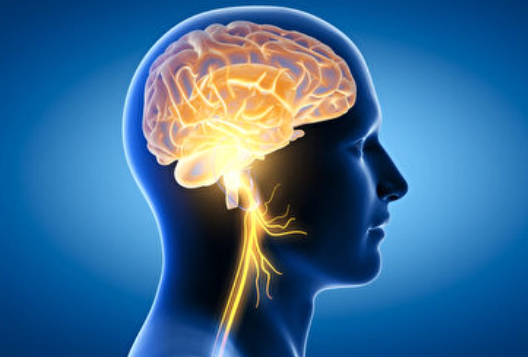 長期記憶種類全解析：理解記憶運作與提升技巧