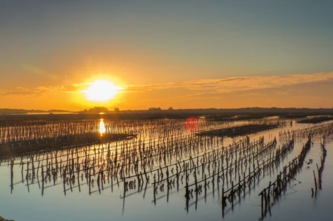 蘆竹溝旅遊 蘆竹溝旅遊