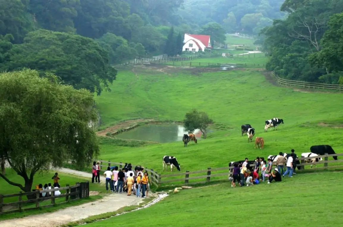 中部看動物景點